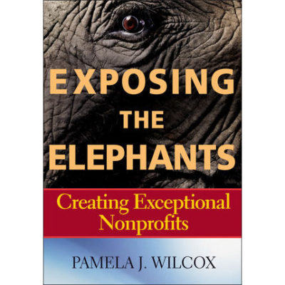 Exposing the Elephants: Creating Exceptional Nonprofits